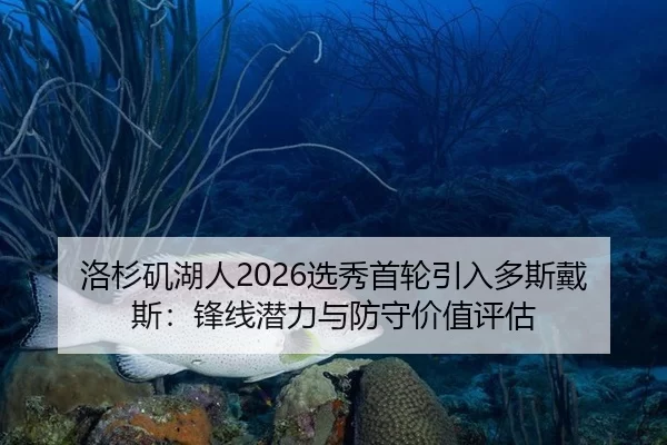 洛杉矶湖人2026选秀首轮引入多斯戴斯：锋线潜力与防守价值评估