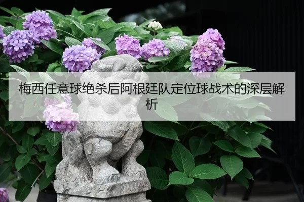 mei-xi-ren-yi-qiu-jue-sha-hou-a-gen-ting-dui-ding-wei-qiu-zhan-shu-de-shen-ceng-jie-xi-2-919.jpg